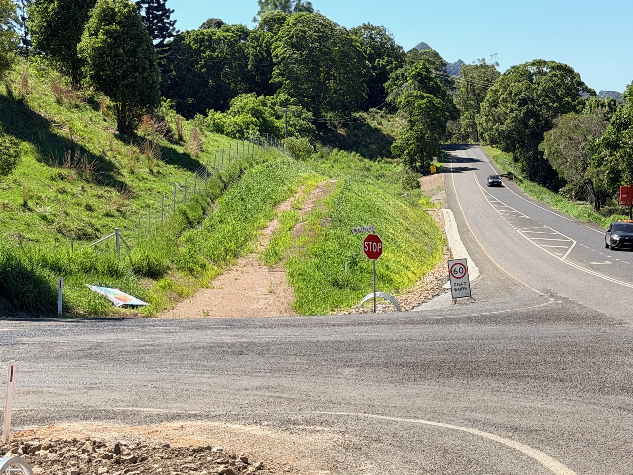 Revegetation